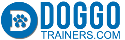 Doggo Trainers 